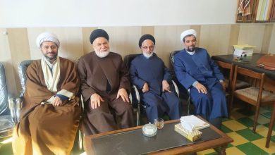 دیدار حجت الاسلام آقاجانی با سید طباطبایی