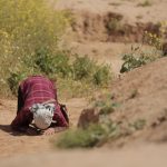 عکس/جلوه های نماز در راهیان نور
