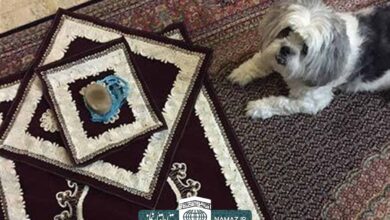 حکم نماز خواندن در خانه‌ای که سگ در آن نگهداری می‌شود