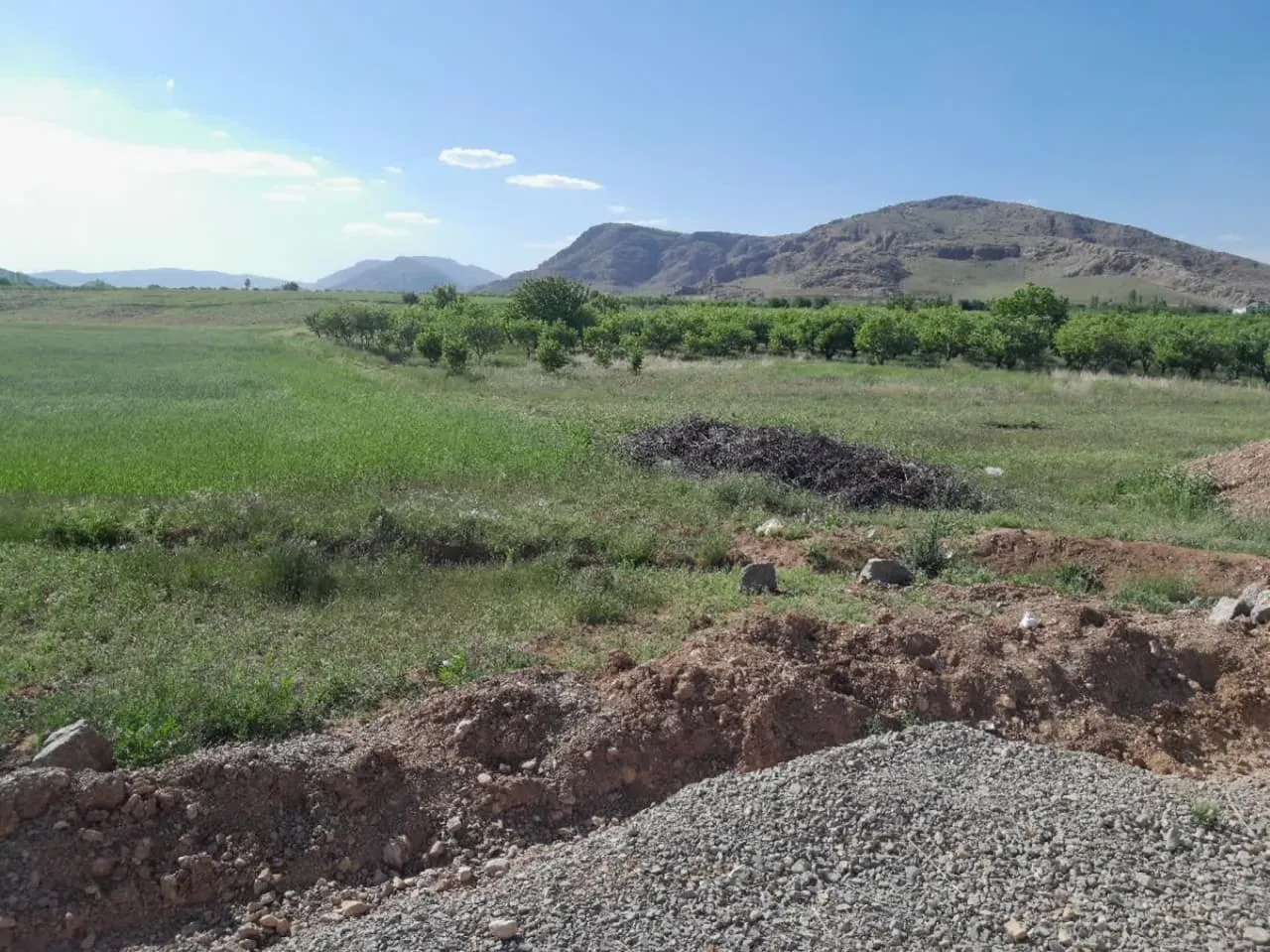 مکان ساخت مسجد فارس