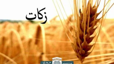 شرح کامل احکام زکات و نکات پیرامون آن
