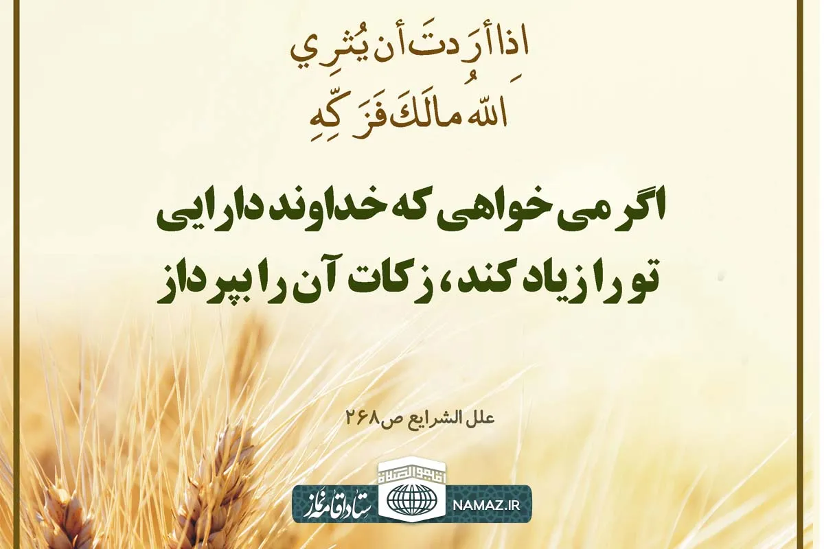 شرح کامل احکام زکات و نکات پیرامون آن