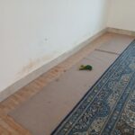 بازدید دبیر شهرستان چگنی از نمازخانه‌های مجتمع‌های رفاهی و جایگاه‌های سوخت