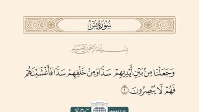 فضیلت و آثار خواندن سوره یاسین یا سوره یس