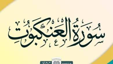 فضیلت و آثار خواندن سوره عنکبوت