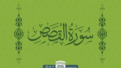 فضیلت و آثار خواندن سوره قصص