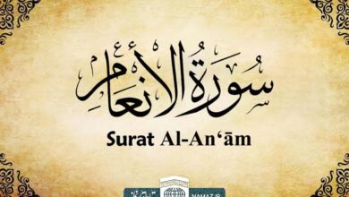 فضیلت و آثار خواندن سوره انعام