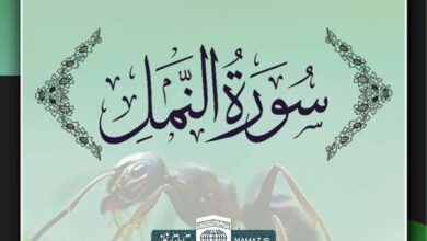 فضیلت و آثار خواندن سوره نمل
