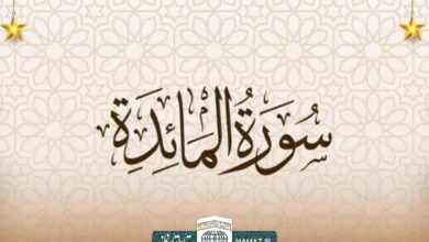 فضیلت و آثار خواندن سوره مائده