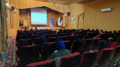 دوره آموزشی شیوه های جذب دانش آموزان ویژه معلمین سوم ابتدایی شهرستان بیرجند برگزار شد