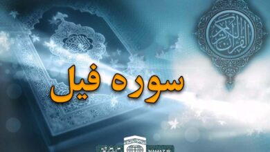 فضیلت و آثار خواندن سوره فیل