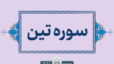فضیلت و خواص خواندن سوره تین