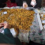 اجرای ۲۴ اقدام فرهنگی ستاد اقامهنماز چهارمحالوبختیاری از آغاز جنگتحمیلیسوم تاکنون